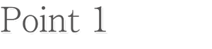 POINT1